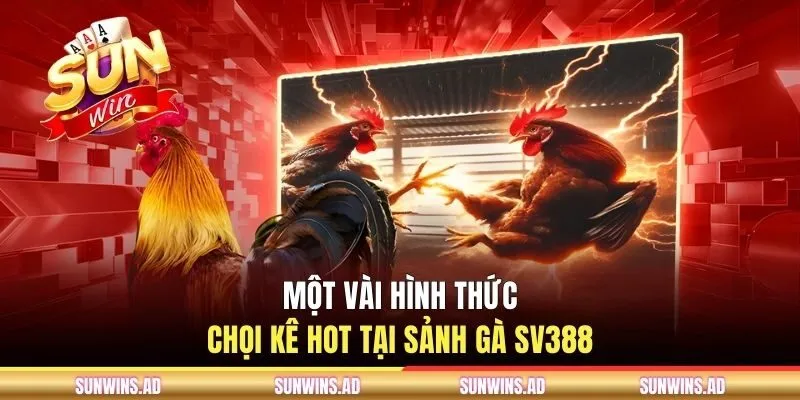 Sảnh Gà SV388 - Trải Nghiệm Đá Gà Trực Tuyến Tại SUNWIN 3 Một vài hình thức chọi kê hot tại sảnh gà SV388