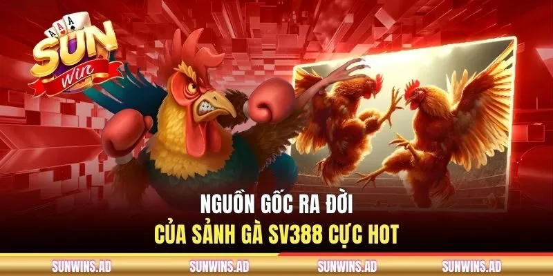 Sảnh Gà SV388 - Trải Nghiệm Đá Gà Trực Tuyến Tại SUNWIN 1 Nguồn gốc ra đời của sảnh gà SV388 cực hot